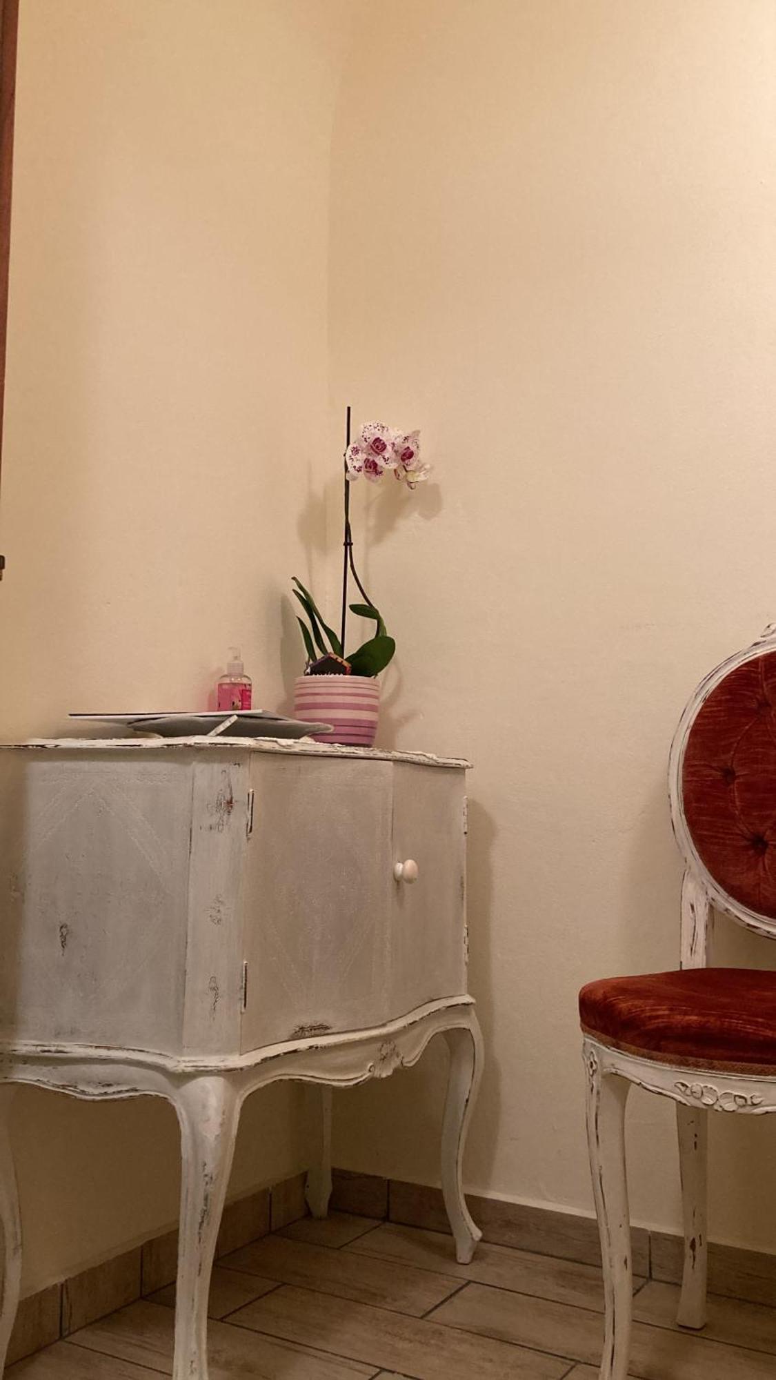 Antica Novi B & B Νόβι Λίγκουρε Εξωτερικό φωτογραφία